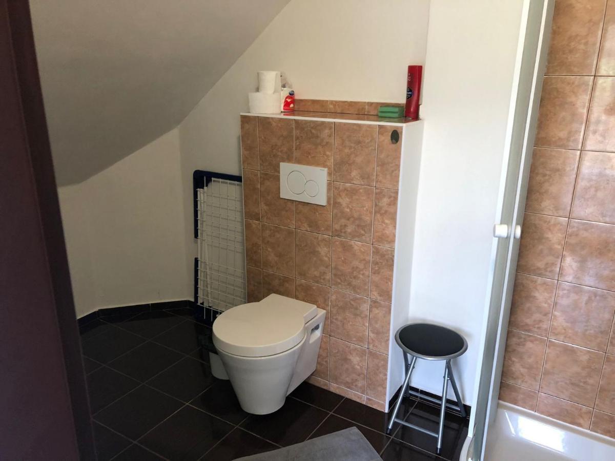 Standa Sluka Udoli Albrechtic Apartment Albrechtice v Jizerskych horach Ngoại thất bức ảnh